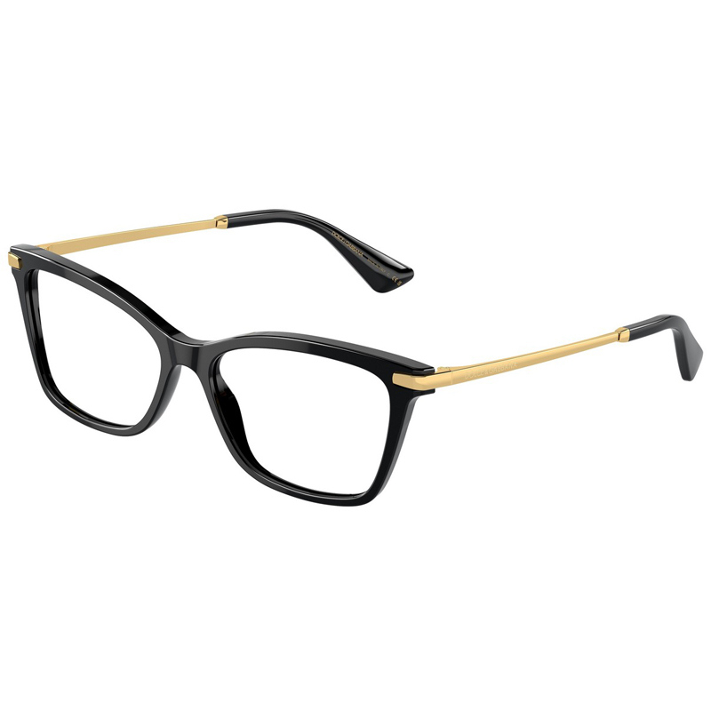 DOLCE E GABBANA 0DG3393-501