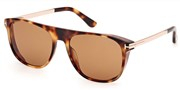 TomFord FT1105-55E