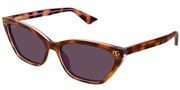 Gucci GG1815S-004