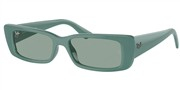 Ray Ban 0RB4425-676282