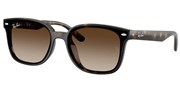 Ray Ban 0RB4461D-71013