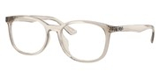 Ray Ban 0RX7093D-8271