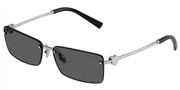 Tiffany 0TF3108B-6001S4